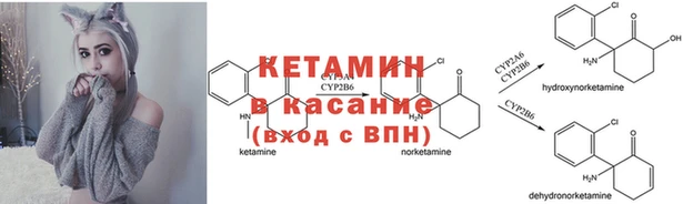 прущие грибы Балахна