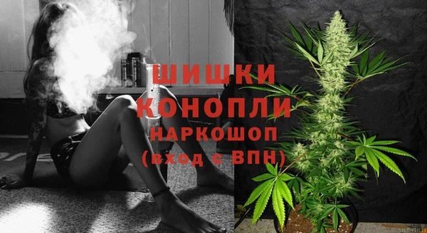 прущие грибы Балахна