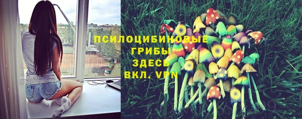 прущие грибы Балахна