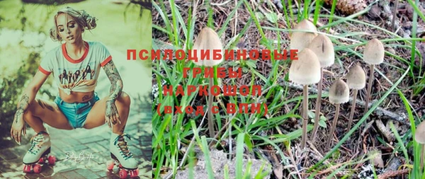 прущие грибы Балахна