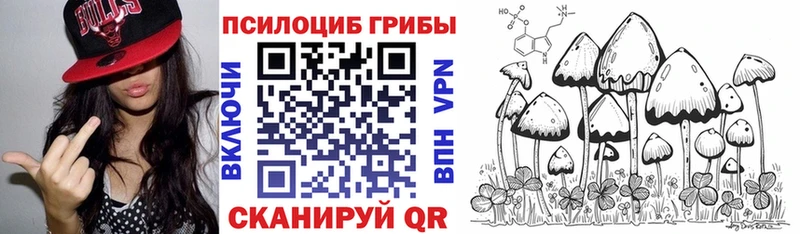 Галлюциногенные грибы мицелий  ссылка на мегу   Омутнинск 